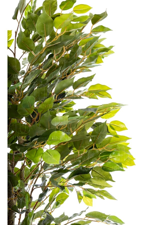 Unique Pots And Plants Benjamna Artifical Tree H180CM  - Image 3