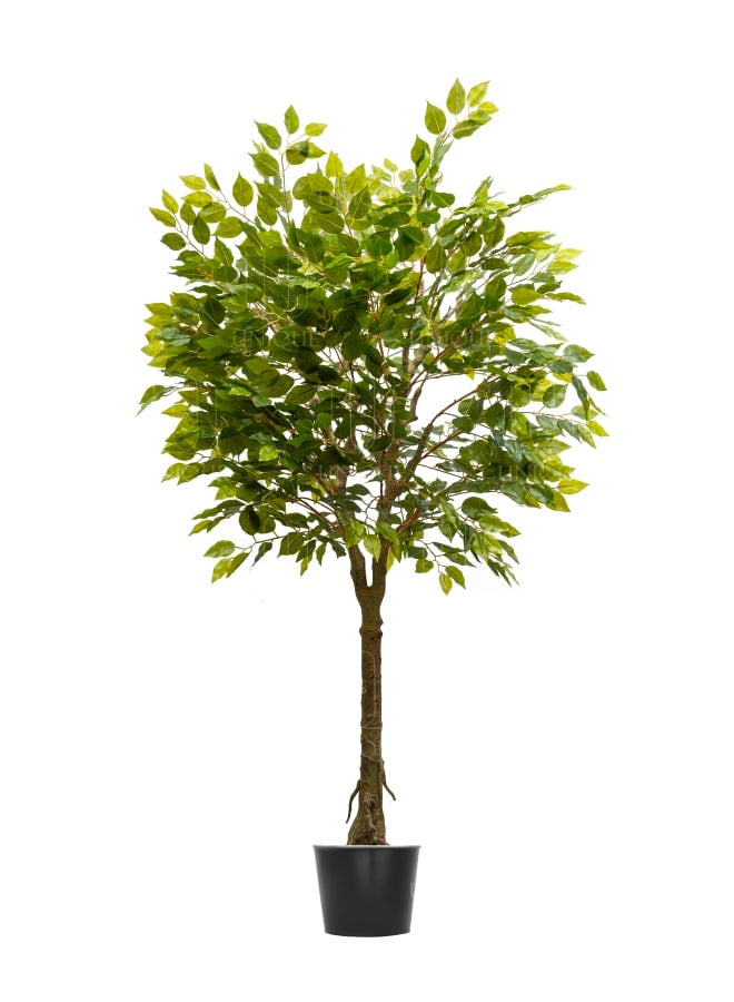 Unique Pots And Plants Benjamna Artifical Tree H180CM  - Image 1