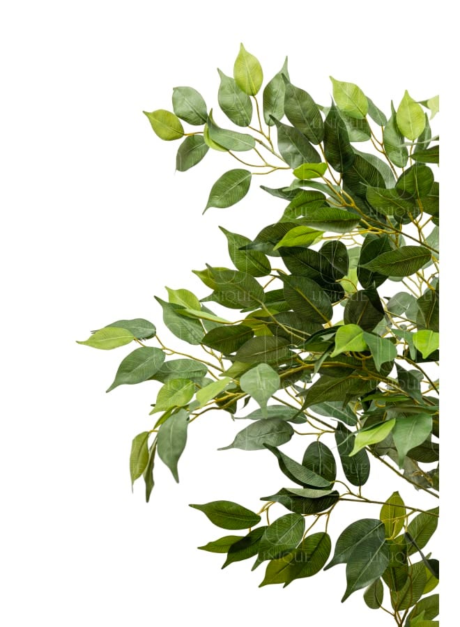 Unique Pots And Plants Benjamna Artifical Tree H180CM  - Image 2