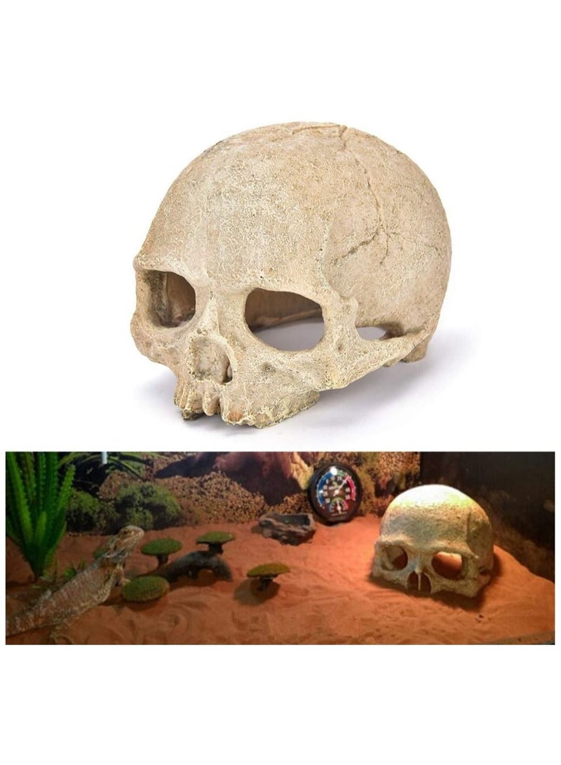 زينة حوض السمك على شكل جمجمة-حوض للأسماك ديكور جمجمة منزل الزواحف جمجمة راتينج زينة لحوض الأسماك للهالوين كهوف مخبأ للزواحف - Image 1