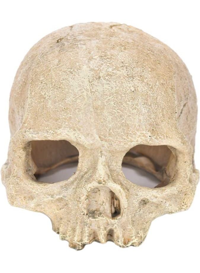 زينة حوض السمك على شكل جمجمة-حوض للأسماك ديكور جمجمة منزل الزواحف جمجمة راتينج زينة لحوض الأسماك للهالوين كهوف مخبأ للزواحف - Image 2