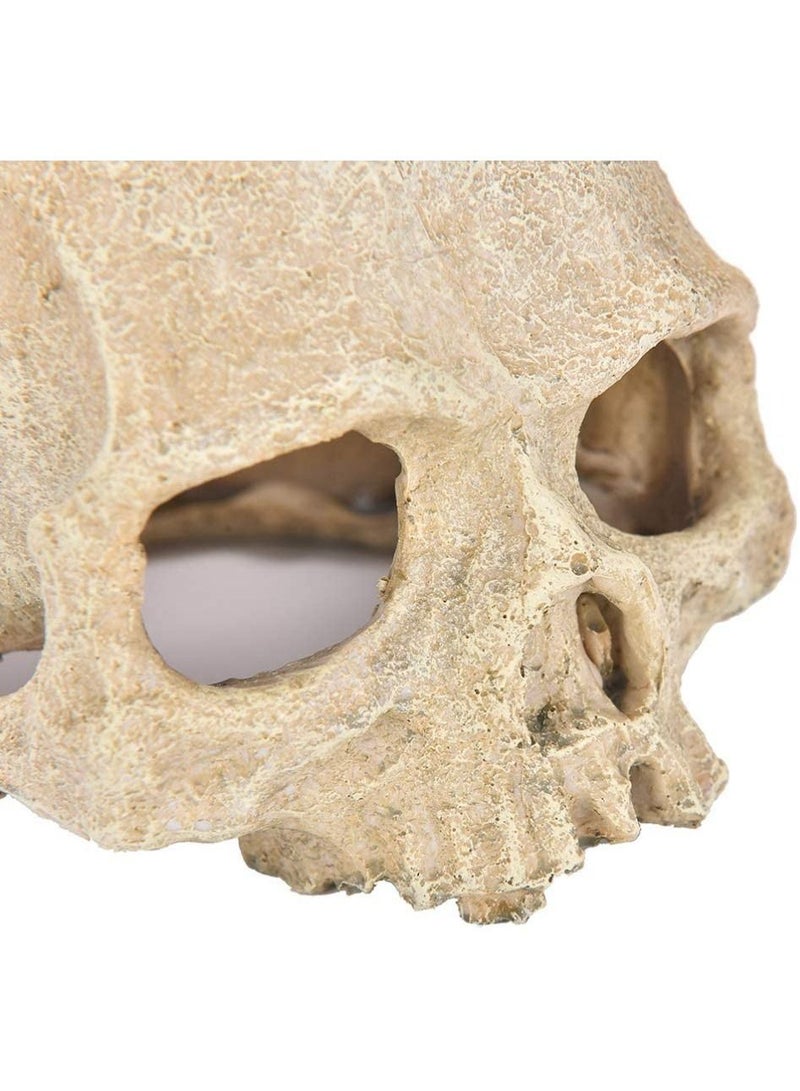 زينة حوض السمك على شكل جمجمة-حوض للأسماك ديكور جمجمة منزل الزواحف جمجمة راتينج زينة لحوض الأسماك للهالوين كهوف مخبأ للزواحف - Image 4