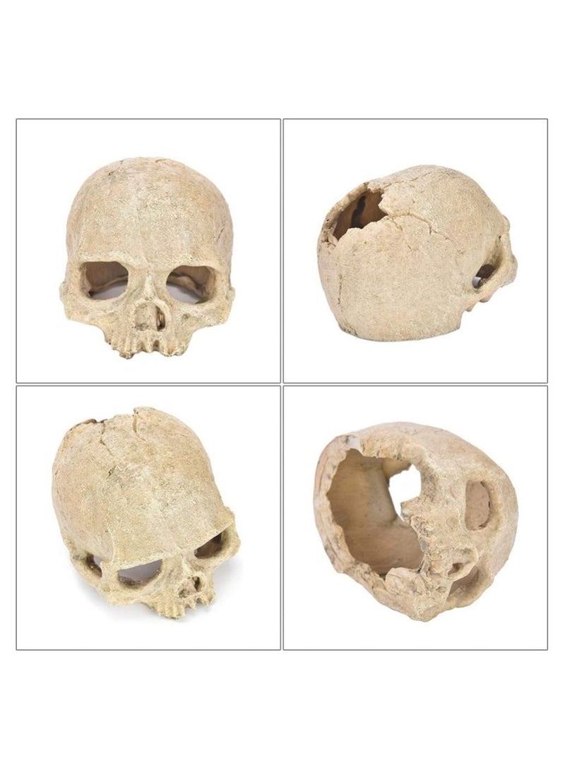 زينة حوض السمك على شكل جمجمة-حوض للأسماك ديكور جمجمة منزل الزواحف جمجمة راتينج زينة لحوض الأسماك للهالوين كهوف مخبأ للزواحف - Image 5