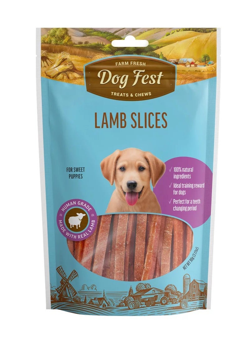 Dog Fest Dog Fest Lamb Slices For Puppies - 90g 