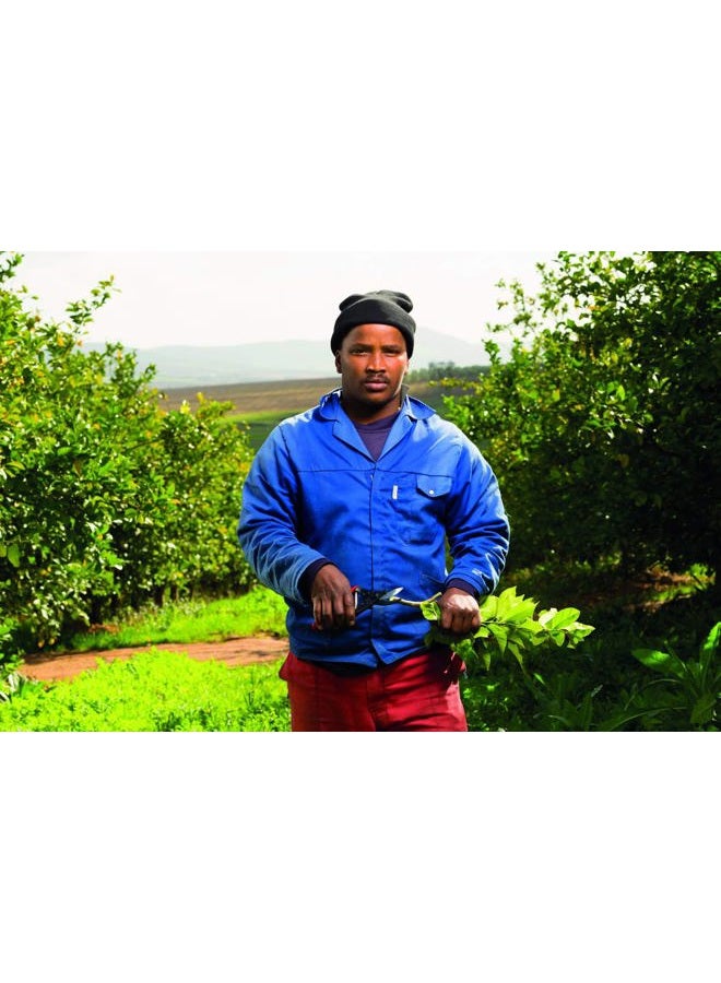 Felco Pruning Shears (F 5) - High Performance Swiss Made One-Hand Garden Pruners