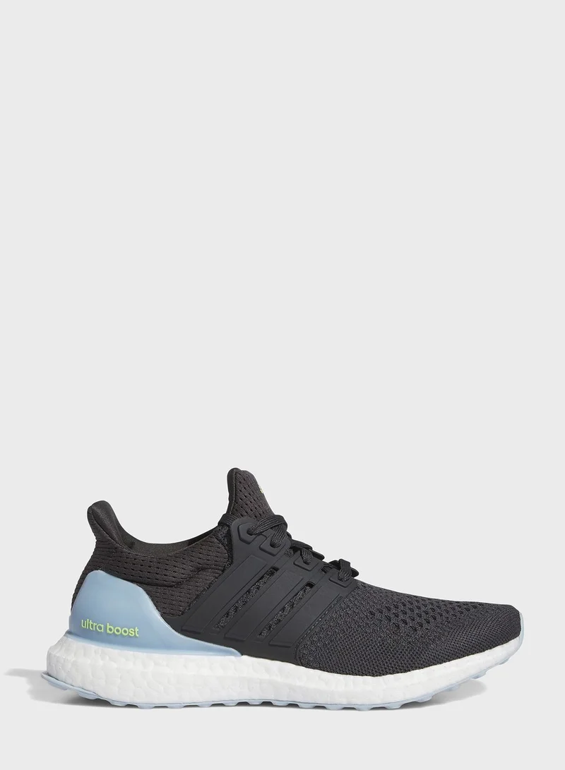 Adidas Ultraboost 1.0 Shoes