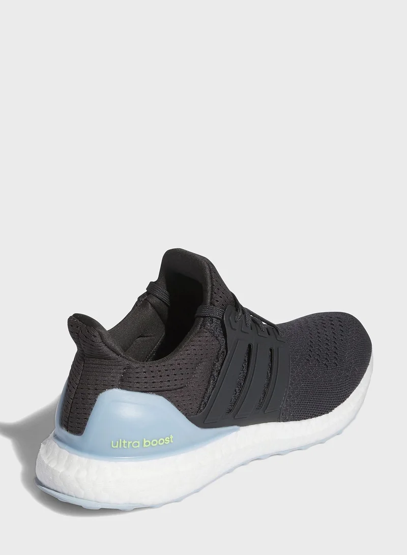 Adidas Ultraboost 1.0 Shoes