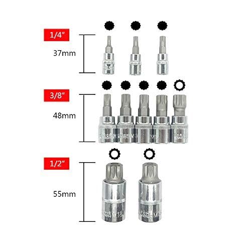 mainpoint XZN Triple Square Spline Bit Socket Set 12 Point Tamper Proof 1/2 1/4 and 3/8 Inch Drive,4mm-18mm,S2 Steel,10 Pieces - Image 4