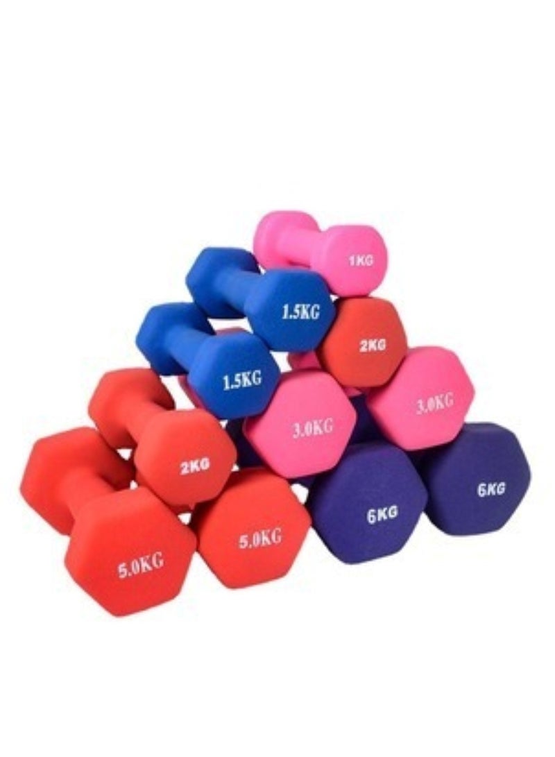 هويتك عبوة من دمبلين من مادة النيوبرين بوزن 2 كجم، متنوعة - Image 2