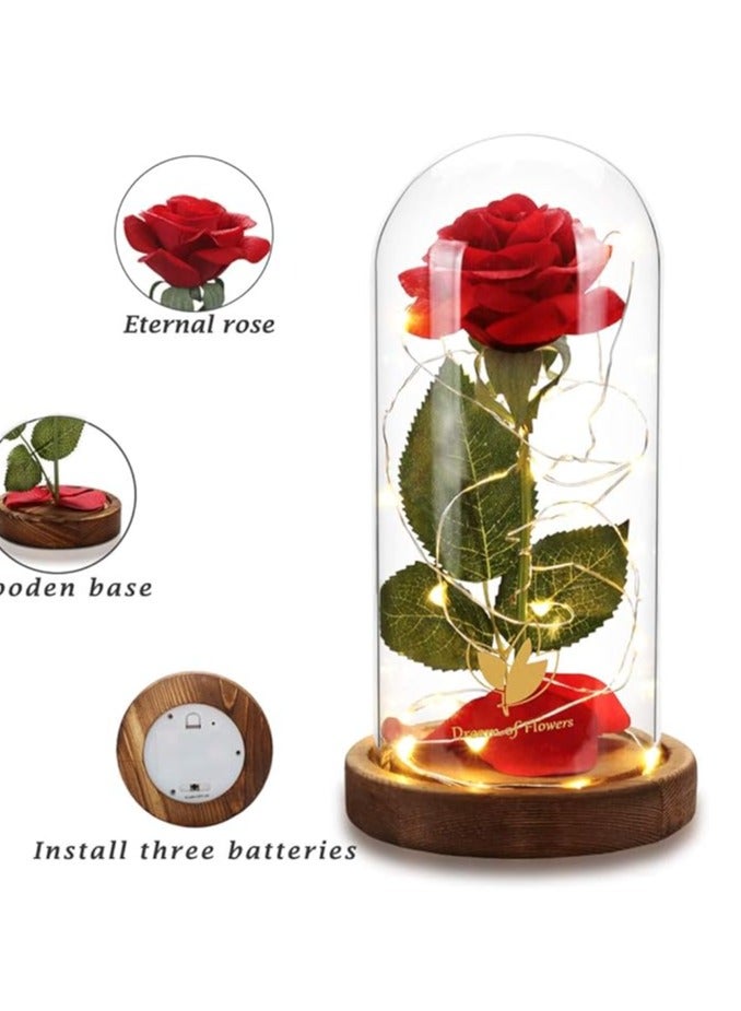 Generic Beauty and the Beast Glass Potted Rose Red Faux-Flower Forever Unique Gifts for Women Christmas Wedding Valentine's Day Anniversary Birthday - Image 4