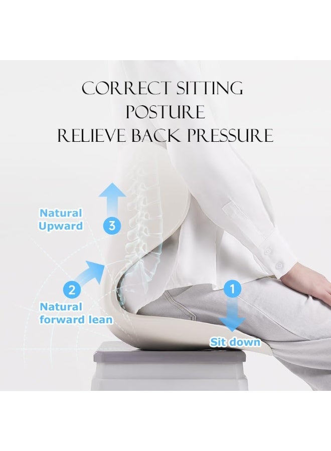 وسادة دعم الظهر المريحة لكراسي المكتب وتصحيح القوام - مسند ظهر طبي للجلوس لفترات طويلة - نظام ميموري فوم لتخفيف آلام أسفل الظهر - Image 4