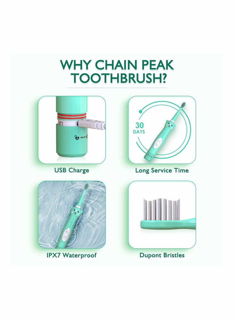 Y&D Kids Sonic Electric Toothbrush, Cute Bear Rechargeable Toothbrush for Children, Boys Girls Age 3-12 with 30s Reminder, 2 Min Timer, 5 Modes, 4 Brush Heads, - Image 5