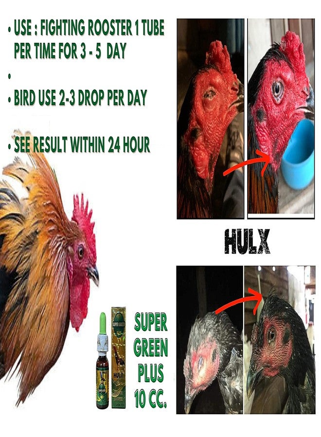 HULX Super Green 10 CC. Rooster Booster Health Care Protection, Quickly Recover Chicken Rooster from Sick, Heal Wounds Pain, Recovery Energy Increase Immunity Poultry & Bird - Image 3