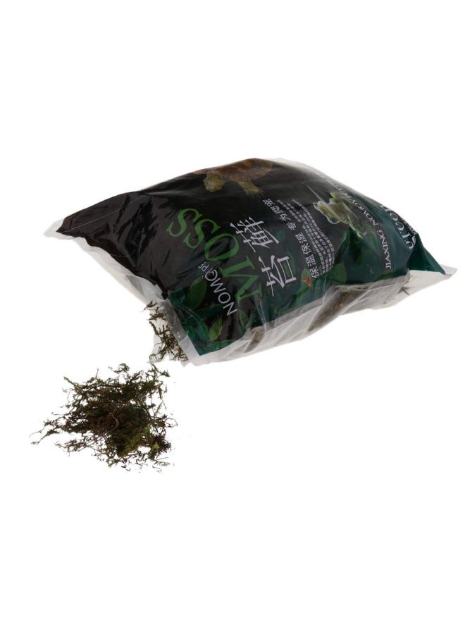 NomoyPet طحلب طبيعي لأحواض الزواحف من نومويبيت، طحلب لأحواض السلاحف - أخضر - (250 جم / 500 جم / 1 كجم) - Image 3