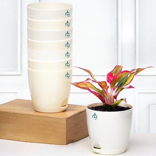 Nurturing Green® Combo of 8 Self Watering Flower Pots for Plants | Plastic Plant Pots | Planter Pots for Home, Indoor Living Room,Garden (Color: Ivory, Size: 11.5cm x 11cm Each) - Image 1