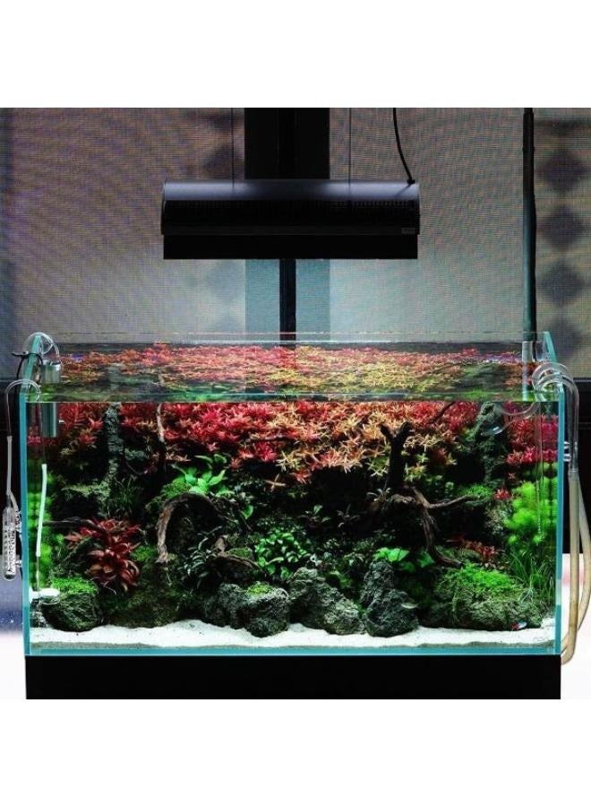 Aquarium 500gm River Rock Planted Substrate Black Lava Stone - Image 3