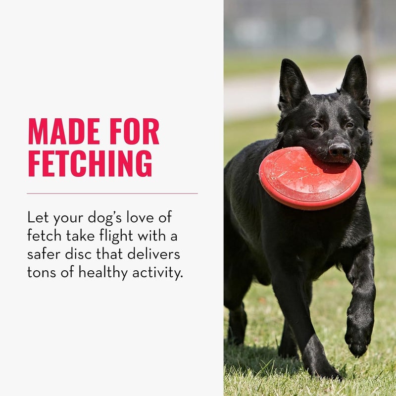 KONG Flyer for Dogs - Large Size Fetch Toy - Image 3