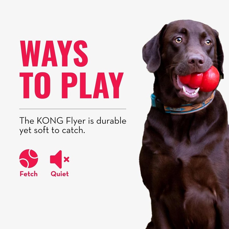KONG Flyer for Dogs - Large Size Fetch Toy - Image 5