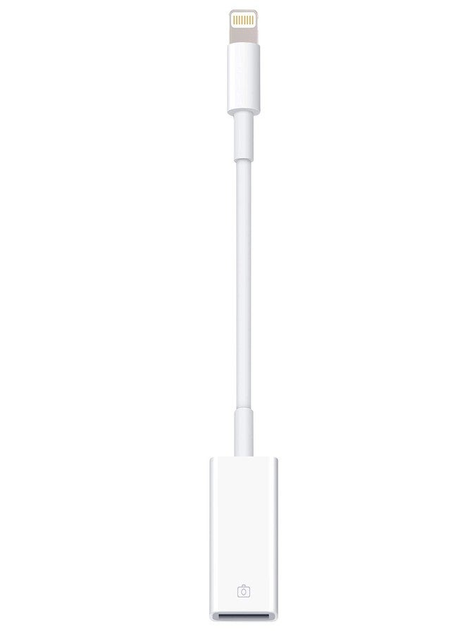 WORLDBOYU Lightning to USB Camera Adapter Lightning Female OTG Cable Adapter for Select iPhone,iPad Models Support Connect Camera, Card Reader, USB Flash Drive, MIDI Keyboard, White - Image 1