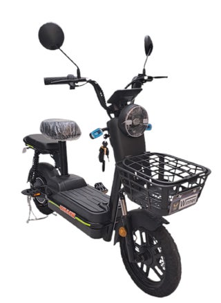 Escooter & Ebike Flora VLRA Removable Battery - pzsku/ZEC74CD4CBABC671B472EZ/45/1747324913/a2faae90-8c43-43b9-8c37-d88962663564