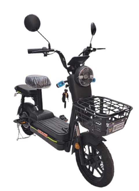 Escooter & Ebike Flora VLRA Removable Battery