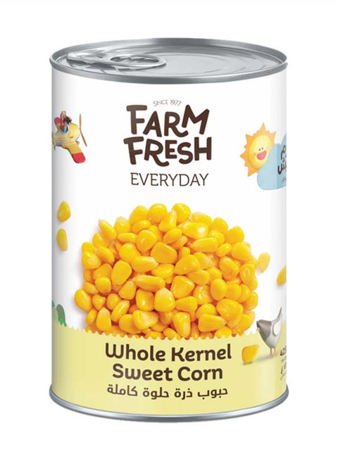 Whole Kernel Sweet Corn 425g