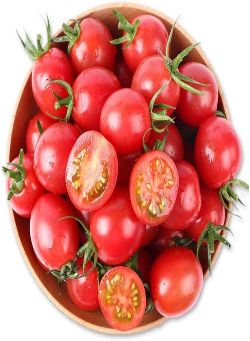 GGOOT 200pcs Graines De Tomate L'arôme des Légumes Accueil Jardinage Plantation Apporter Bonheur à Récolter Jardin Cour Décoration - Image 3