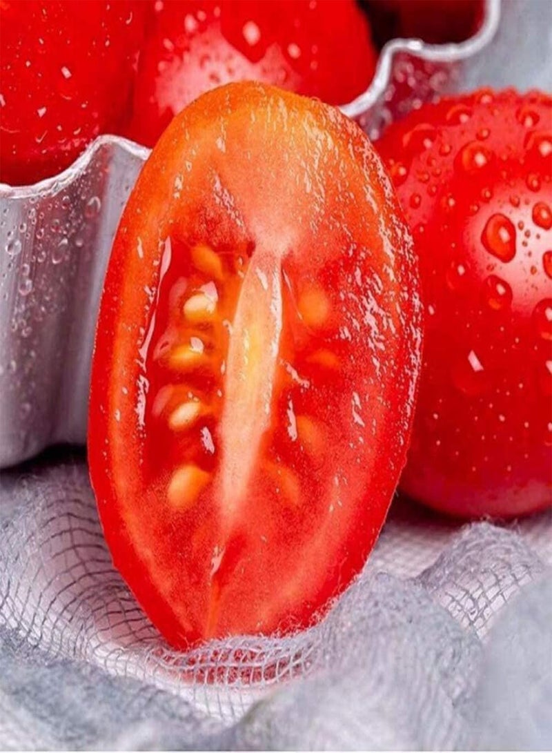 GGOOT 200pcs Graines De Tomate L'arôme des Légumes Accueil Jardinage Plantation Apporter Bonheur à Récolter Jardin Cour Décoration - Image 2