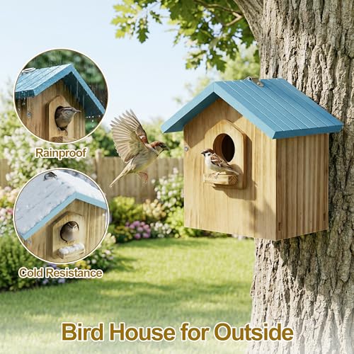 Auslar Bird House for Outside, Wooden Birdhouses for Outdoors, Bluebird House for Outside Clearance, Hanging Bird Houses for Cardinals Finch Wren Swallow for for Garden Viewing - Image 3