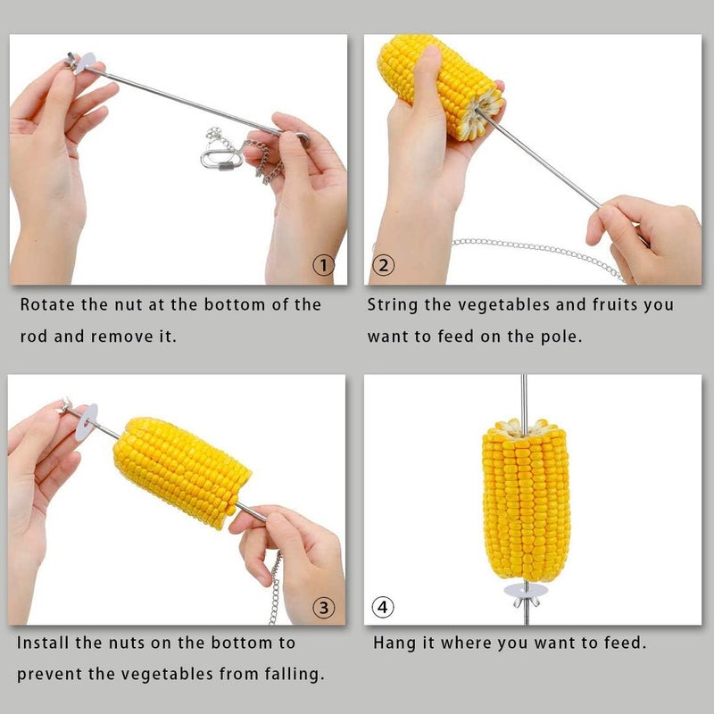 هوت شوت تولز Geluode 2 Pcs Chicken Veggies Fruit Skewer,Stainless Steel Vegetable Fruit Chain Hanging Holder Food Feed Tool for Chicken Parrot Bird - Image 5