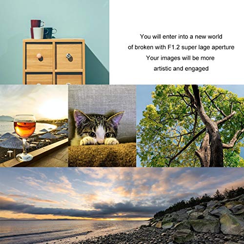 Meike 50mm F1.2 Full Frame Manual Lens with Large Aperture, Ideal for Portrait Photography, Sony E-Mount A7III A9 NEX 3 3N 5 NEX 5T NEX 5R NEX 6 7 A5000 A5100 A6000 A6100 A6300 A6500 - Image 3