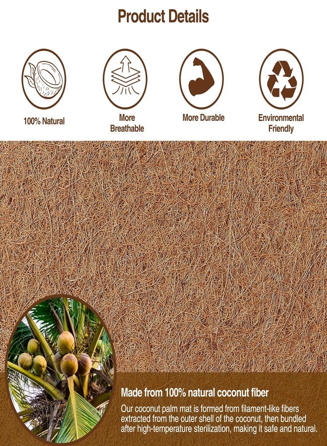 MAXPACE Natural Coconut Coir Liner Sheets - 14x11inch 2 Pcs Coco Fiber for Plant, Planter, Window Basket, Garden Decoration, and Pet Reptile Carpet or Mat - Image 3