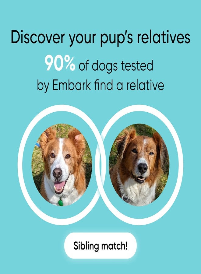 Embark Breed Identification Kit - Most Accurate Dog DNA Testing Kit - 99% Breed Ancestry Accuracy for Mixed Breed Dogs - Plus Relative Finder & Family Tree - Image 3