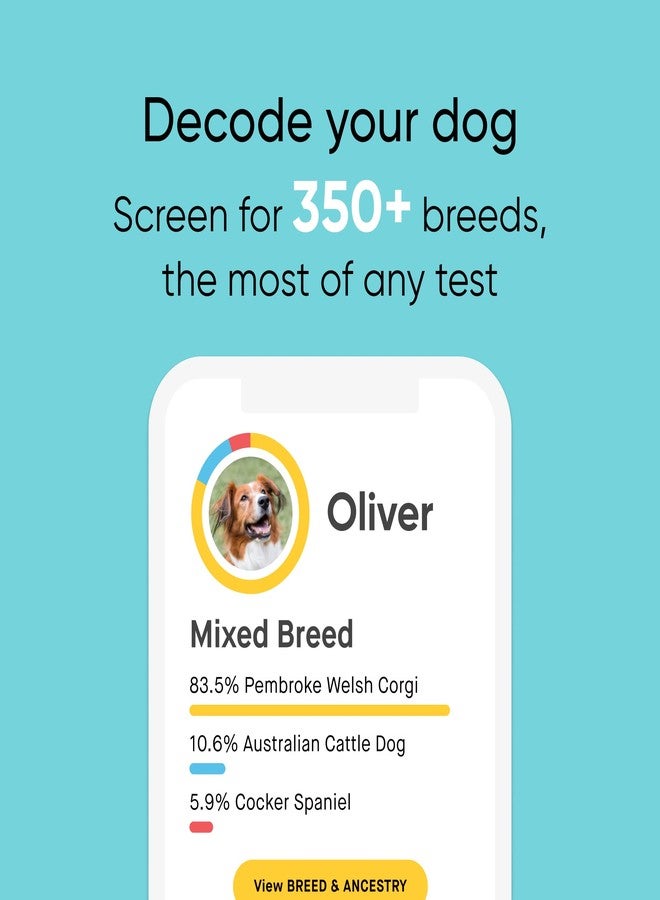 Embark Breed Identification Kit - Most Accurate Dog DNA Testing Kit - 99% Breed Ancestry Accuracy for Mixed Breed Dogs - Plus Relative Finder & Family Tree - Image 2