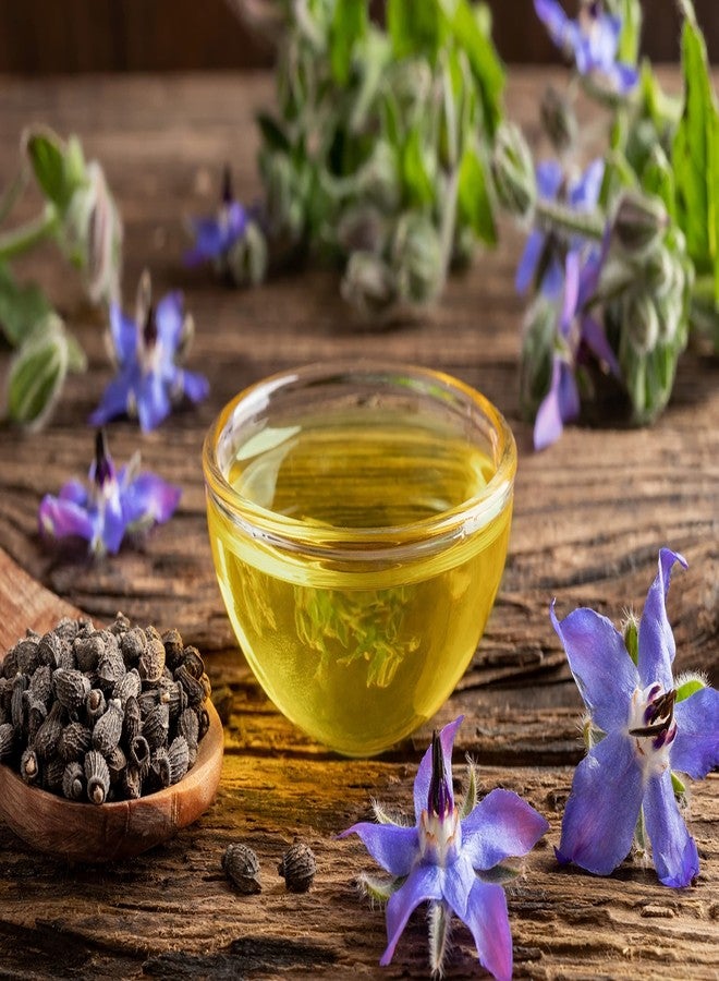 OPO زيت بذور البوراج OPO - 32 أونصة - نقي غير مكرر غير معدل وراثيًا، عالي GLA، زيت ناقل طبيعي مرطب بكميات كبيرة للبشرة والشعر والأظافر وصابون الجسم والعديد من الاستخدامات - سائل بوراج فيرجن نباتي - Image 4