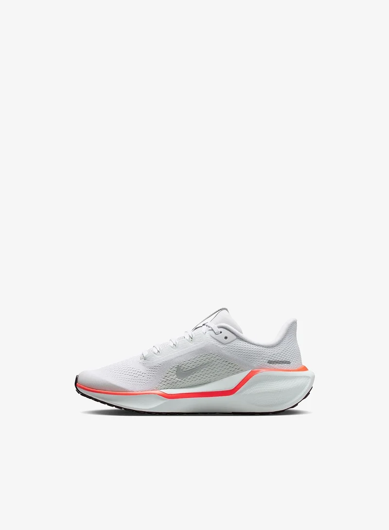 Nike Nike Pegasus 41
