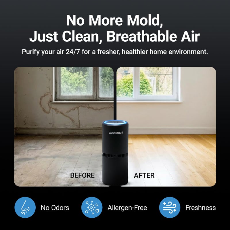 Lab Charge LabCharge Small Ionic Air Purifier for Home & Bedroom â€“ Silent HEPA Filter â€“ Covers 250 Sq Ft - Free Cleaner for Pets, Hair, Smoke, Dust, Odors & Dander â€“ Compact & Black Design - Pack of 5 - Image 3