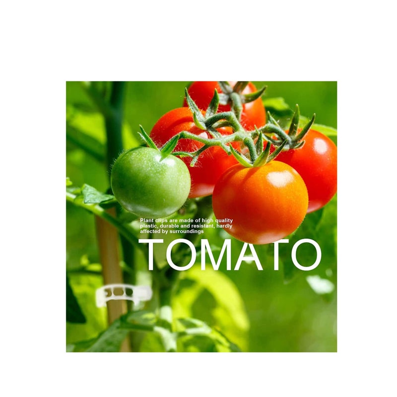 SOLARAE 200 Pcs Plant Support Garden Clips Tomato Trellis Clip Tomato Vine Clips Help Vine Vegetables to Grow Upright and Make Plants Healthier - Image 2