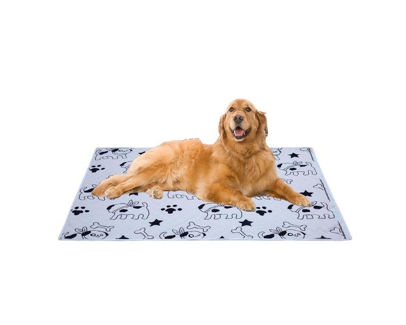 AAZEEM Soft Light Weight Mat for Dogs, Cats & Pets, Skin Friendly Mat| FloorMat | Pet Area Carpet | Anti-Spill 40 X 53 Inches|Black Color|XL Size| - Image 1