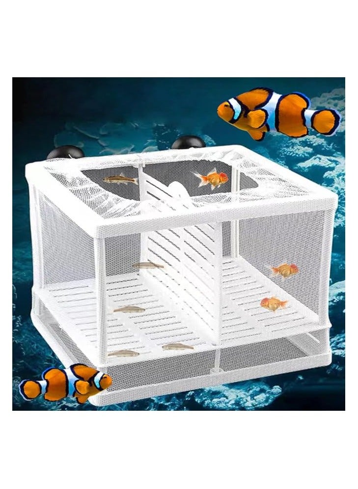 Royal Aquarium Fish Breeding Box - Small Fry Hatchery Net for Guppy and ...