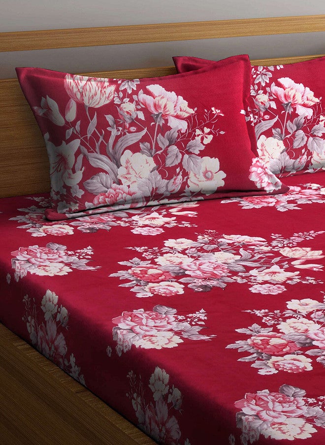 Arrabi Red Floral Cotton 300 TC Fitted King Fine Bedsheet with 2 Pillow Covers - Image 3