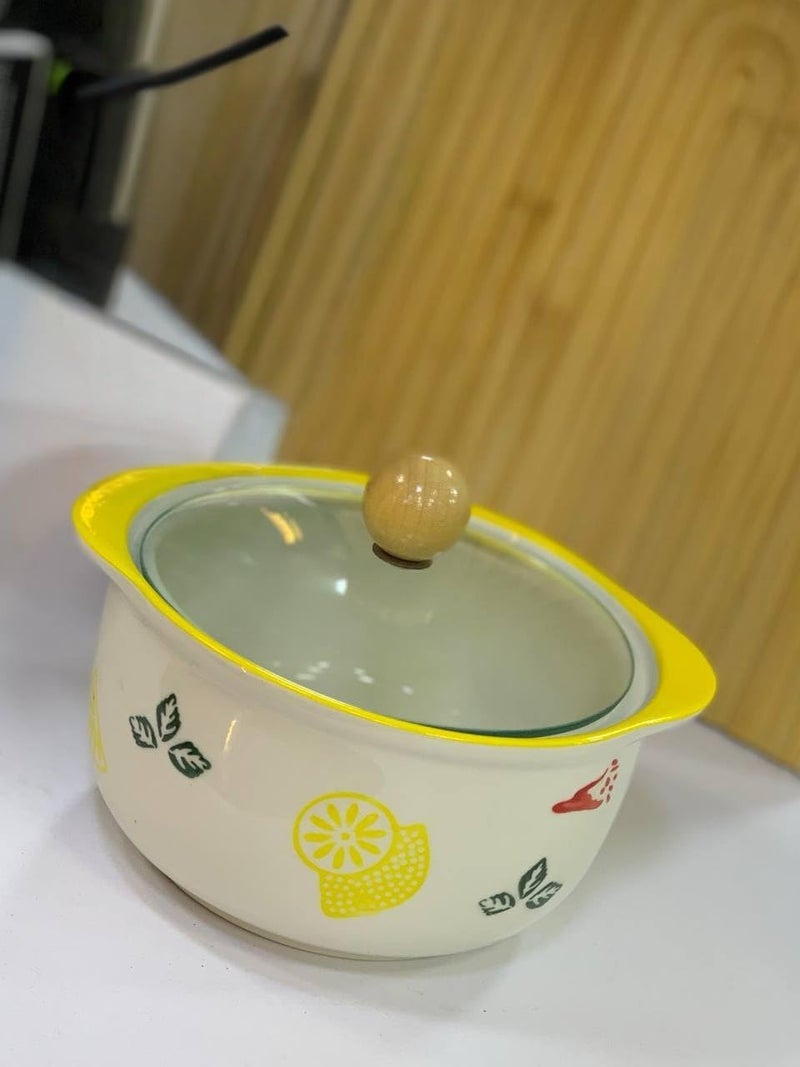Generic Cooking Pot with Glass Lid, Double Handle .A2