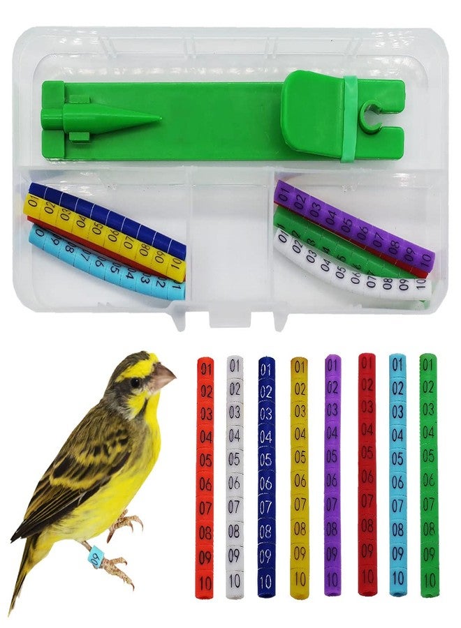 FOIBURELY 80 pcs Numbered Bird Ring Leg Bands for Gouldian Zebra Finch Canary Society Bird Foot Ring with 1 Installer(Diameter 3mm) - Image 1