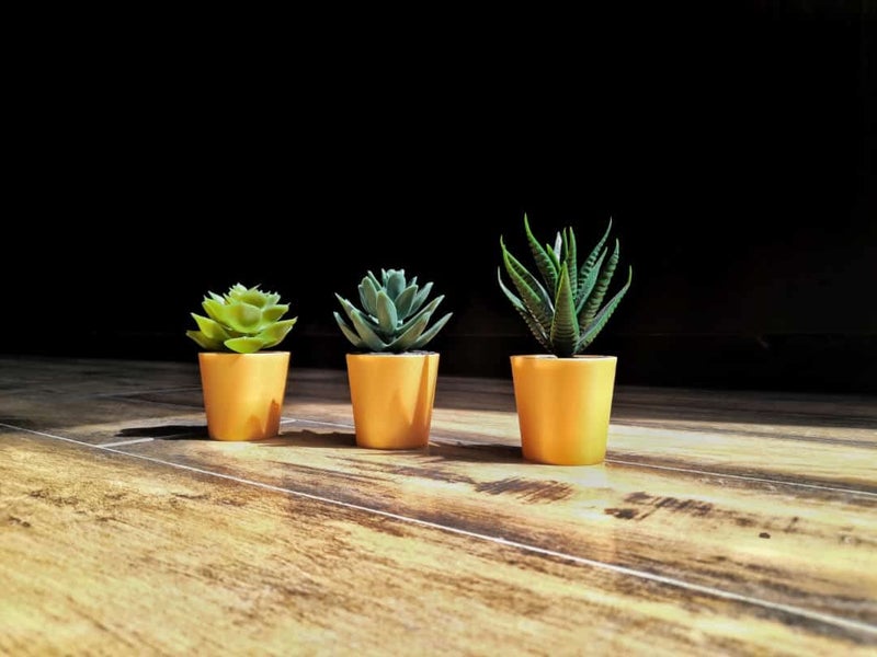 PAPERI Artificial Succulent Plants for Home Décor – Indoor Fake Succulent Plant Flowers With Pot, Bathroom Decorations Items, Small Plastic Trees, Decoration Flower For Living Room Table & Office Desk - Image 2