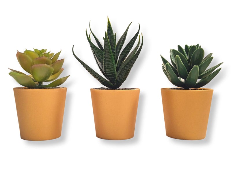 PAPERI Artificial Succulent Plants for Home Décor – Indoor Fake Succulent Plant Flowers With Pot, Bathroom Decorations Items, Small Plastic Trees, Decoration Flower For Living Room Table & Office Desk - Image 1