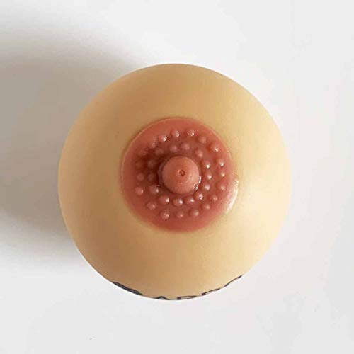Ardo Demo Breast Model – Silicone Breastfeeding Model Educational Tool for Lactation Professionals – Artificial Female Breast Model Teaching Aid for Doctors, Nurses, Medical Students (Light) - Image 2