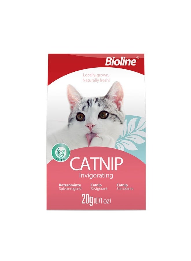 بايولاين بيولاين أوراق النعناع البري للقطط 20 جم | نعناع بري طبيعي 100٪ | لتعزيز اللعب والنشاط وتقليل التوتر - Image 1