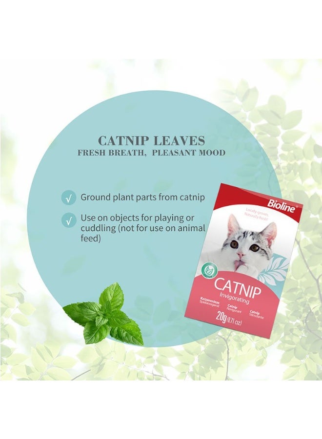 بايولاين بيولاين أوراق النعناع البري للقطط 20 جم | نعناع بري طبيعي 100٪ | لتعزيز اللعب والنشاط وتقليل التوتر - Image 2