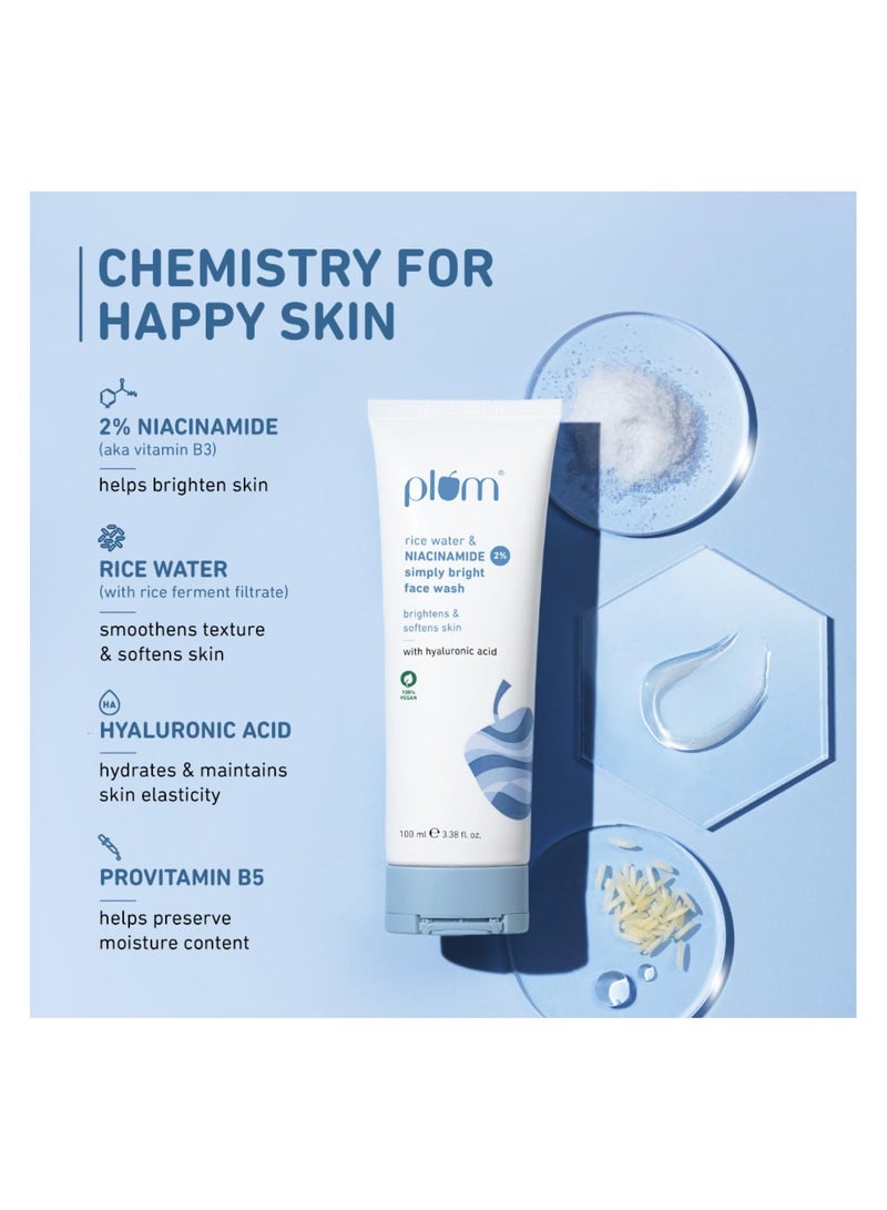 بلوم غسول وجه من النياشينانيد 2% من طبقة بي إم، يضيء البشرة وينعم البشرة بلطف ونودلز ونودلز 100% جيغان 100 مل - Image 3