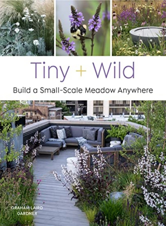 TINY & WILD 